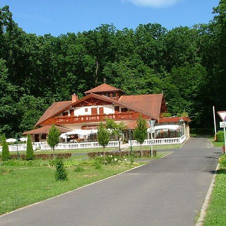 Erdogyongye Etterem Es Panzio Hotel Zalaegerszeg Exterior photo
