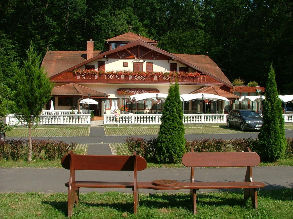 Erdogyongye Etterem Es Panzio Hotel Zalaegerszeg Exterior photo